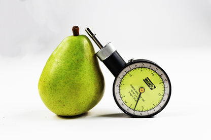 FT10 – Penetrómetro Portátil Punta 8mm Para 5kg/50g Wagner