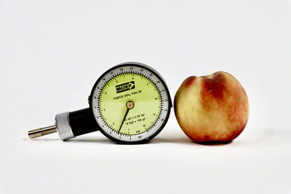 FT20 – Penetrómetro Portátil Punta 8mm Para 10kg/100g Wagner