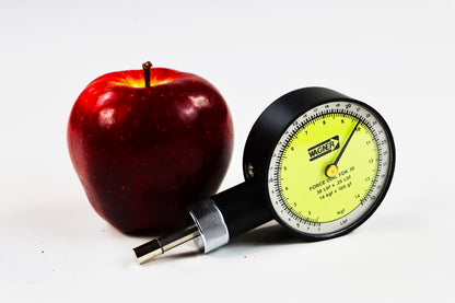 FT30 – Penetrómetro Portátil Punta 8mm Para 14kg/100g Wagner